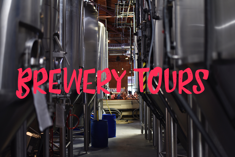 The Hill Party Bus Brewery Tours